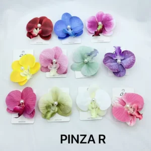 Pinza R